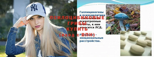трава Богородицк