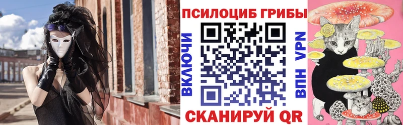 Галлюциногенные грибы Psilocybe  Вязьма 